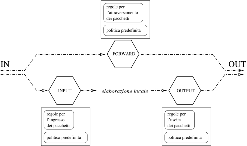 input, output, forward